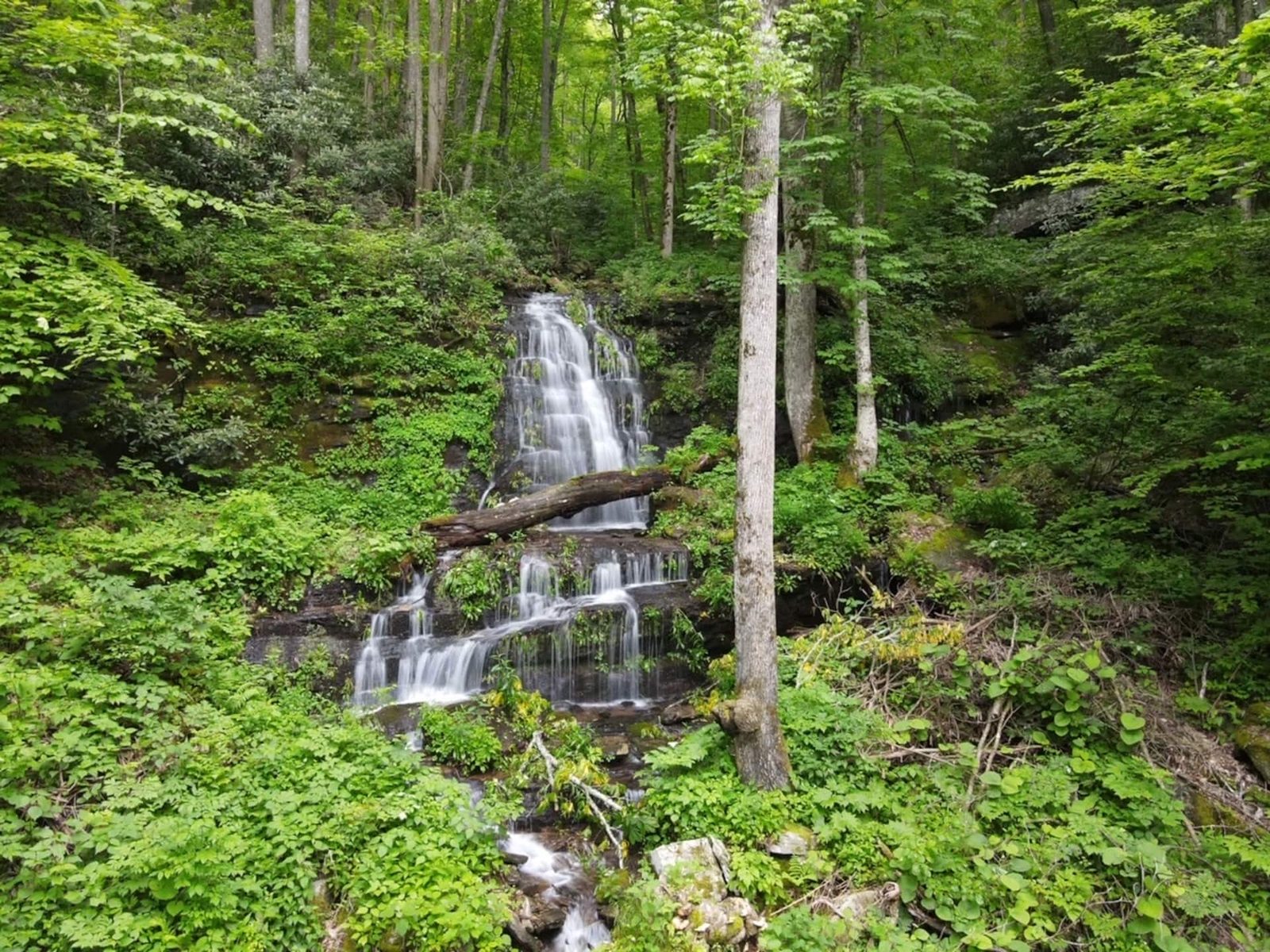 Seasonal waterfall in the forest at Big Rock Falls near Asheville NC